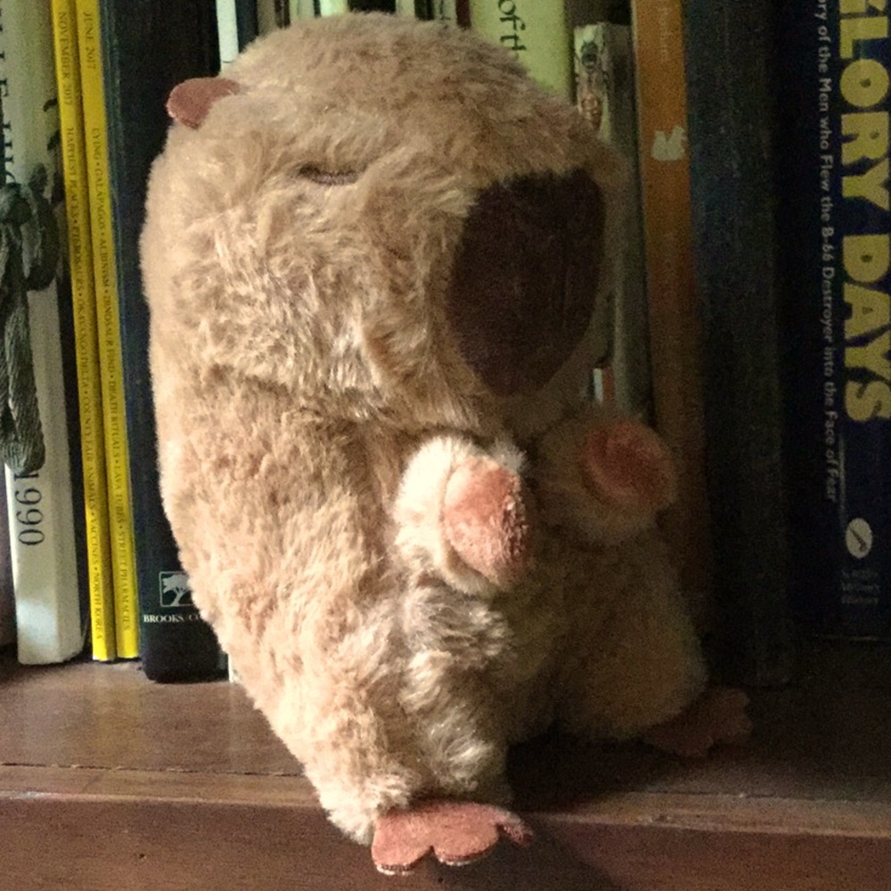 Cappy stuffed animal toy travel companion